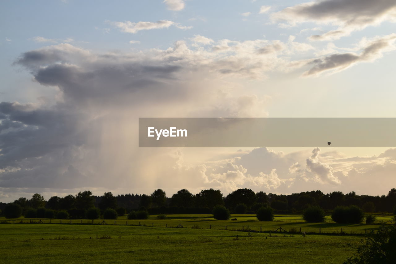 PANORAMIC VIEW OF AGRICULTURAL FIELD AGAINST SKY