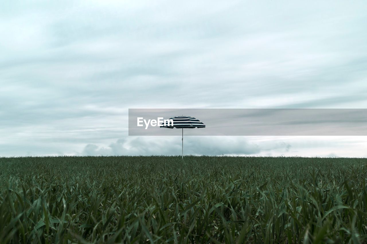 Umbrella on grassy field against sky