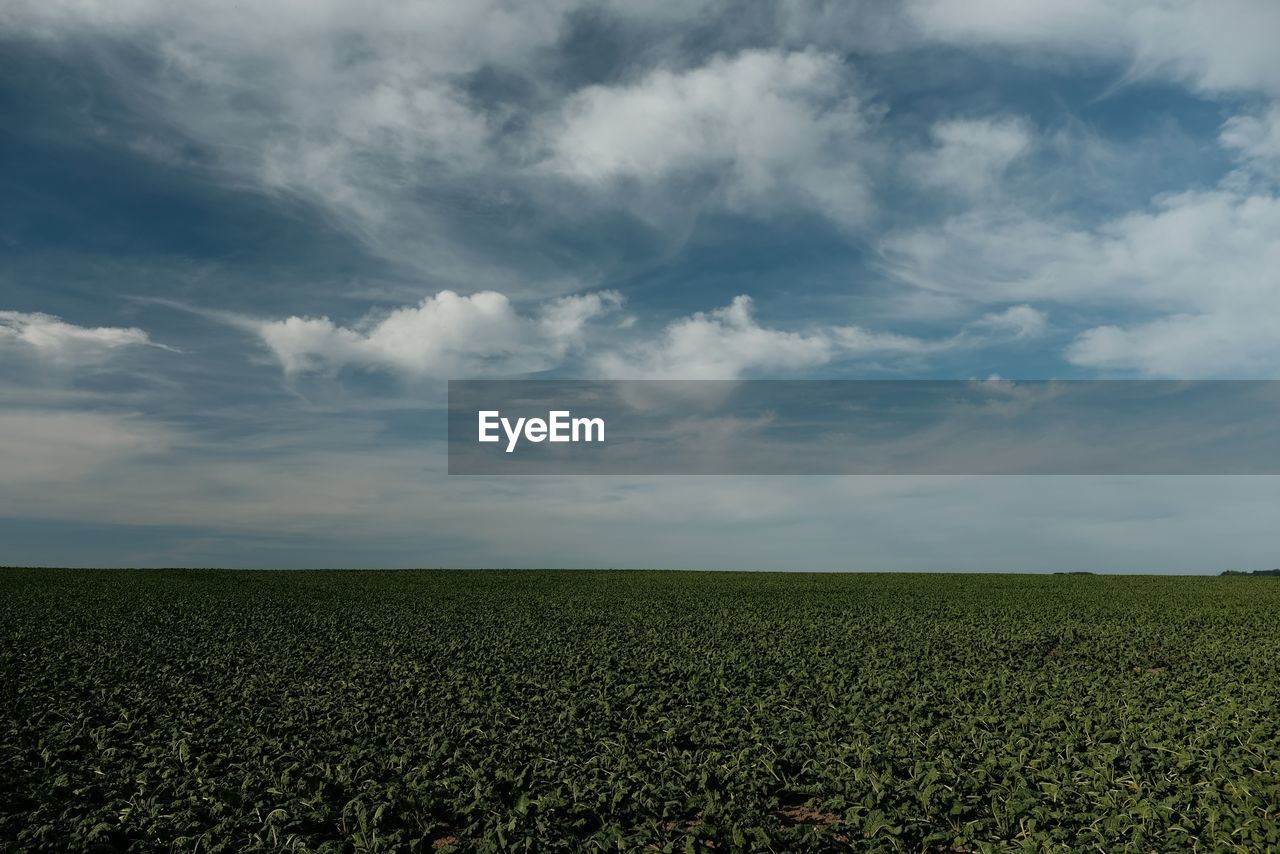 SCENIC VIEW OF FARM AGAINST SKY