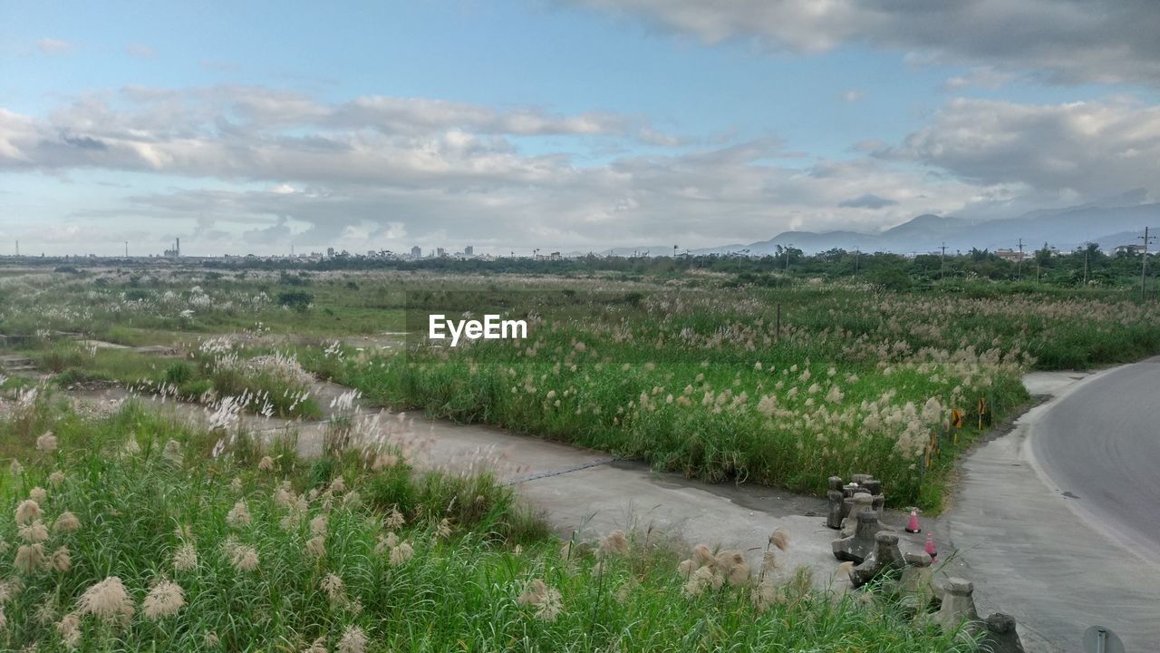 SCENIC VIEW OF FARM AGAINST SKY