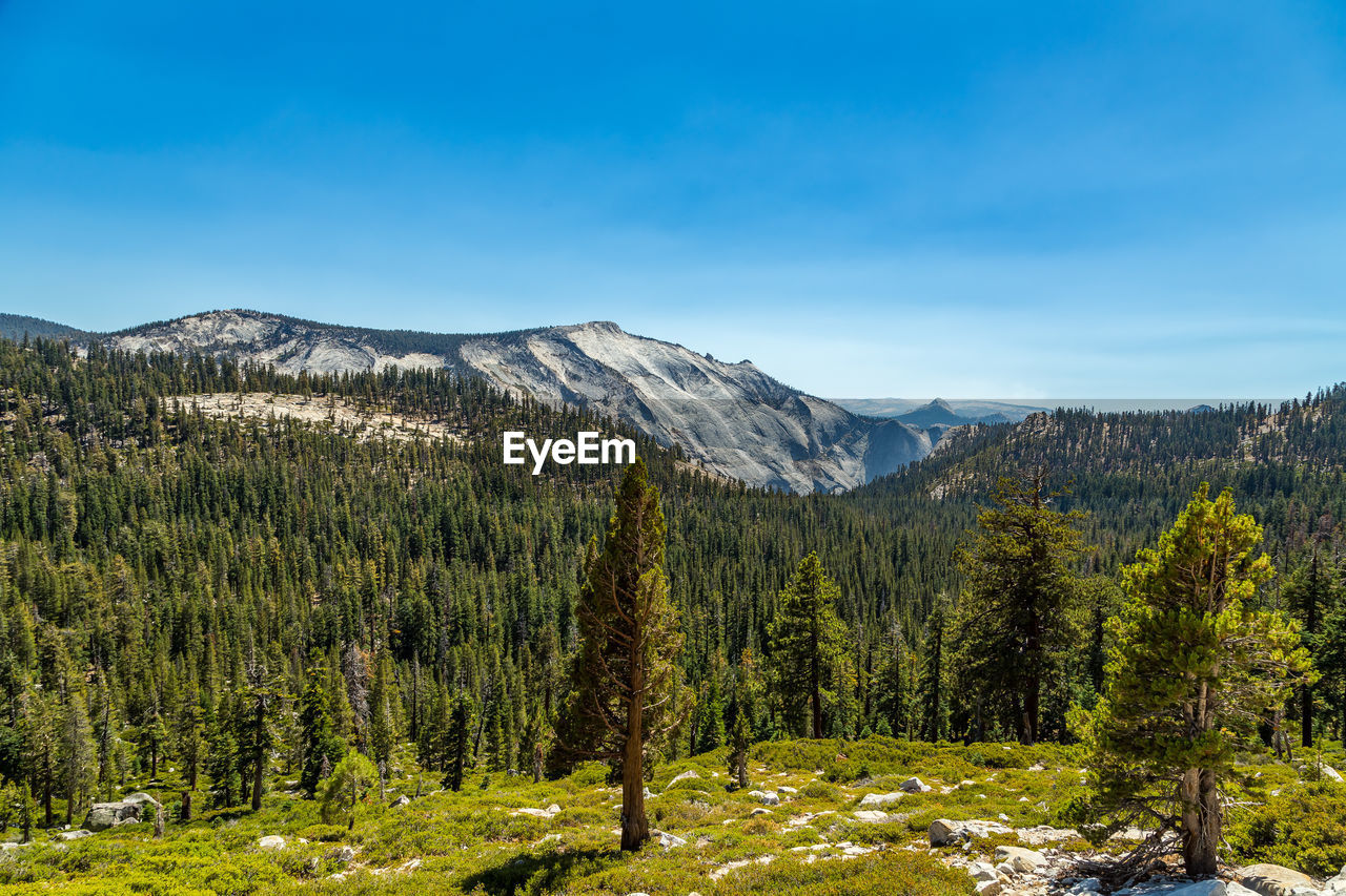 Yosemite valley against clear sky