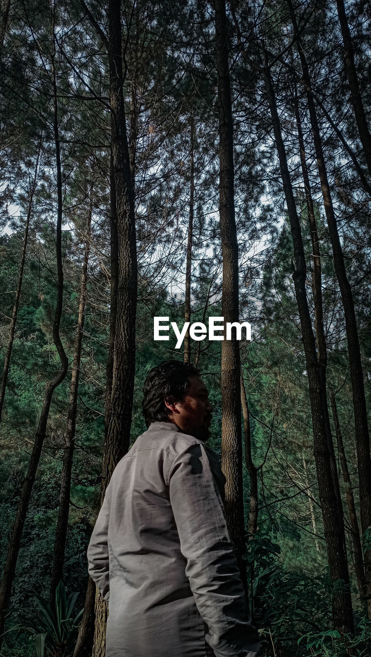 Rear view of men standing in forest