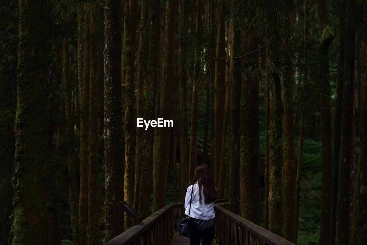 Rear view of woman standing amidst trees in forest