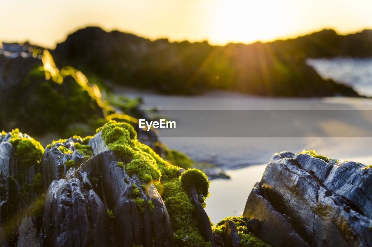 Close-up of rocks against sky during sunset