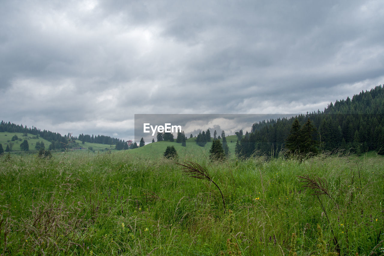 SCENIC VIEW OF LAND AGAINST SKY