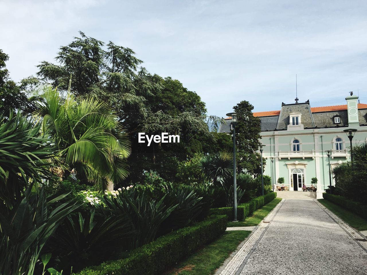 BUILDINGS ALONG TREES