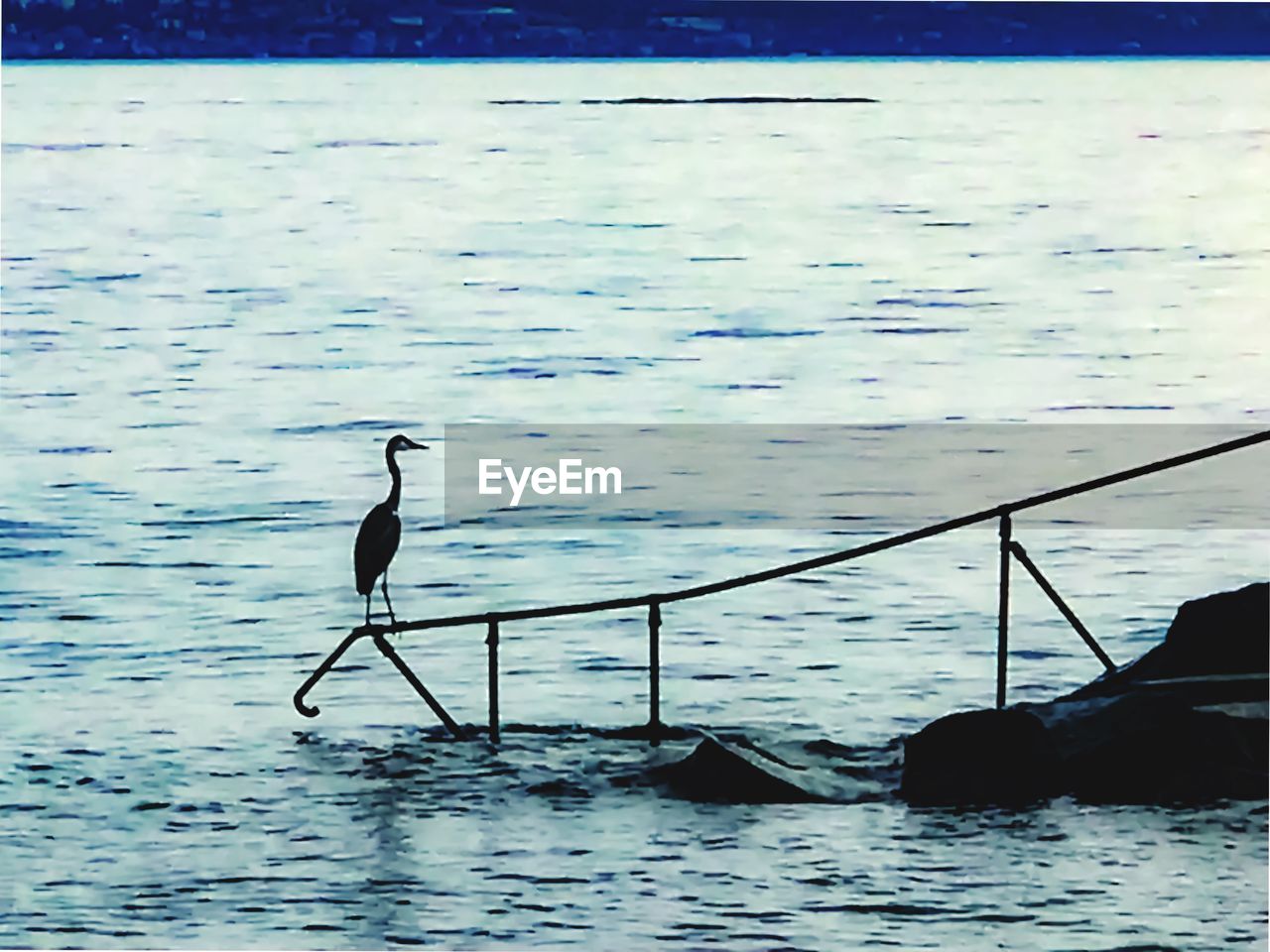 VIEW OF BIRDS PERCHING ON SEA