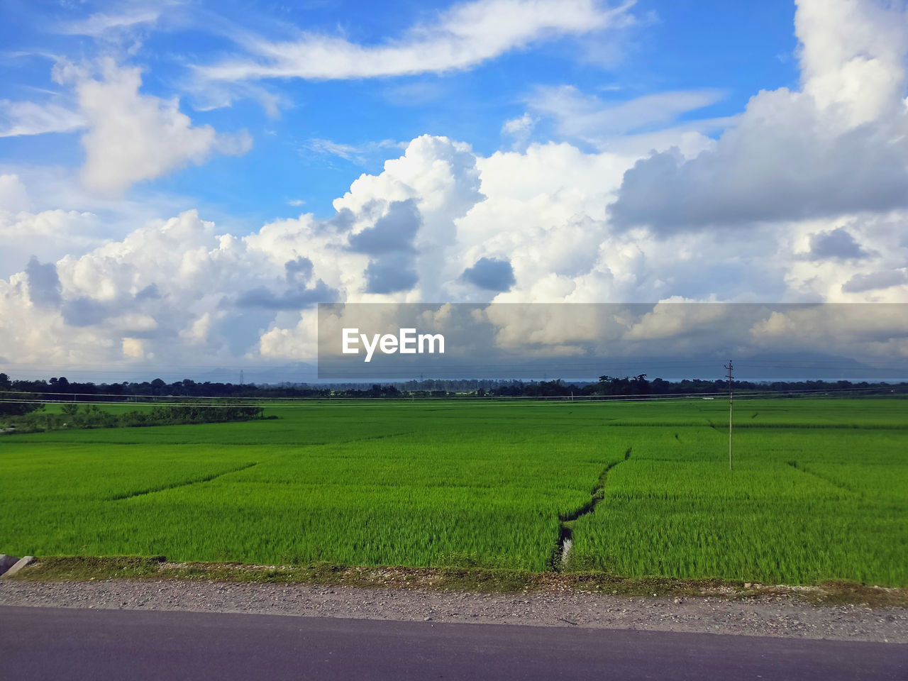 SCENIC VIEW OF FARM FIELD AGAINST SKY