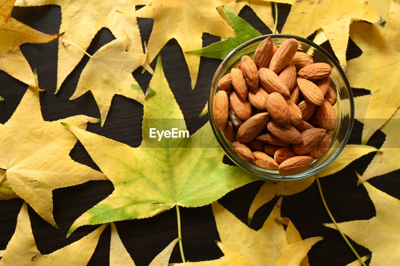 High angle view of leaves in bowl on table
