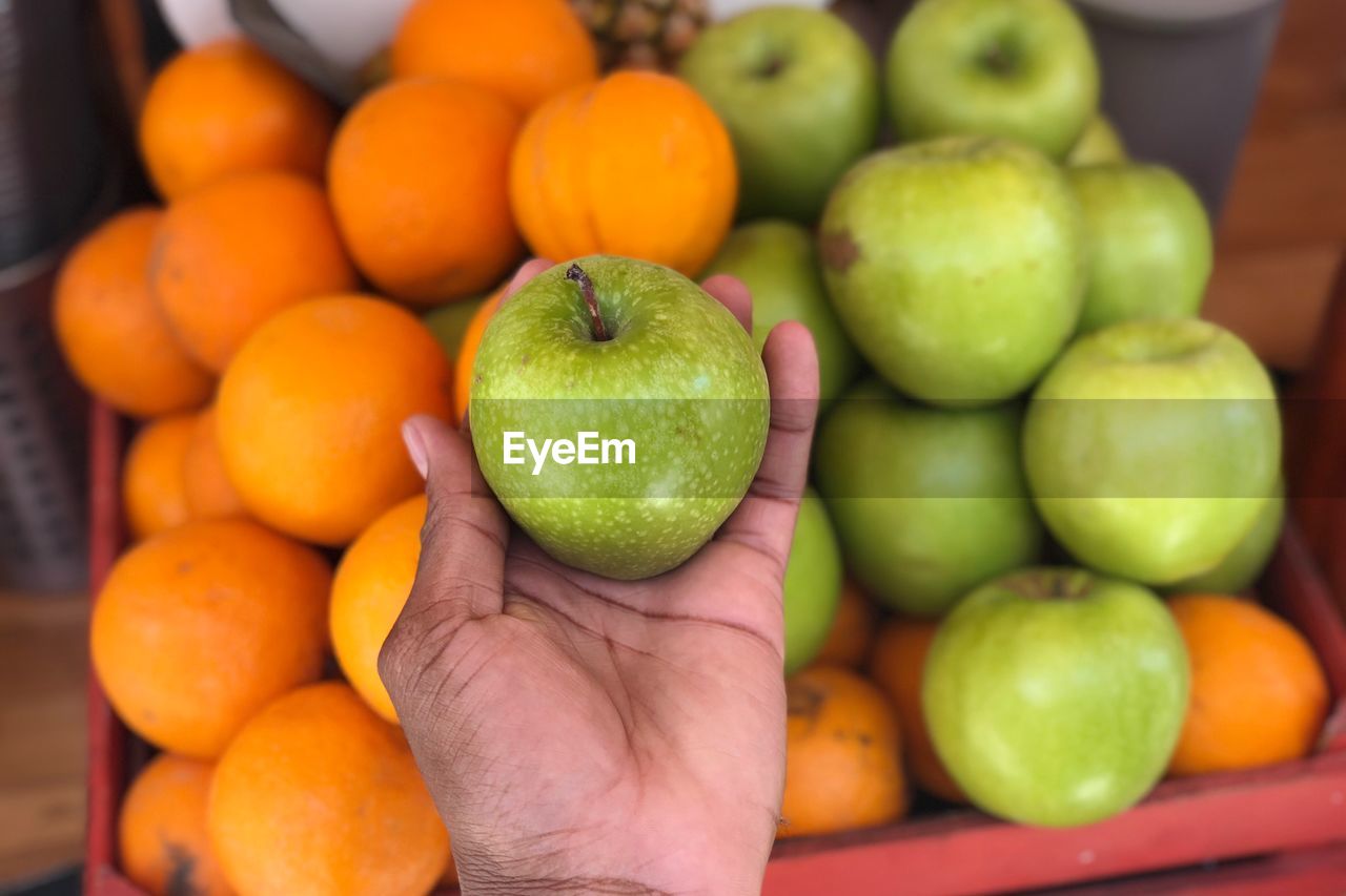 Close-up of hand holding apples