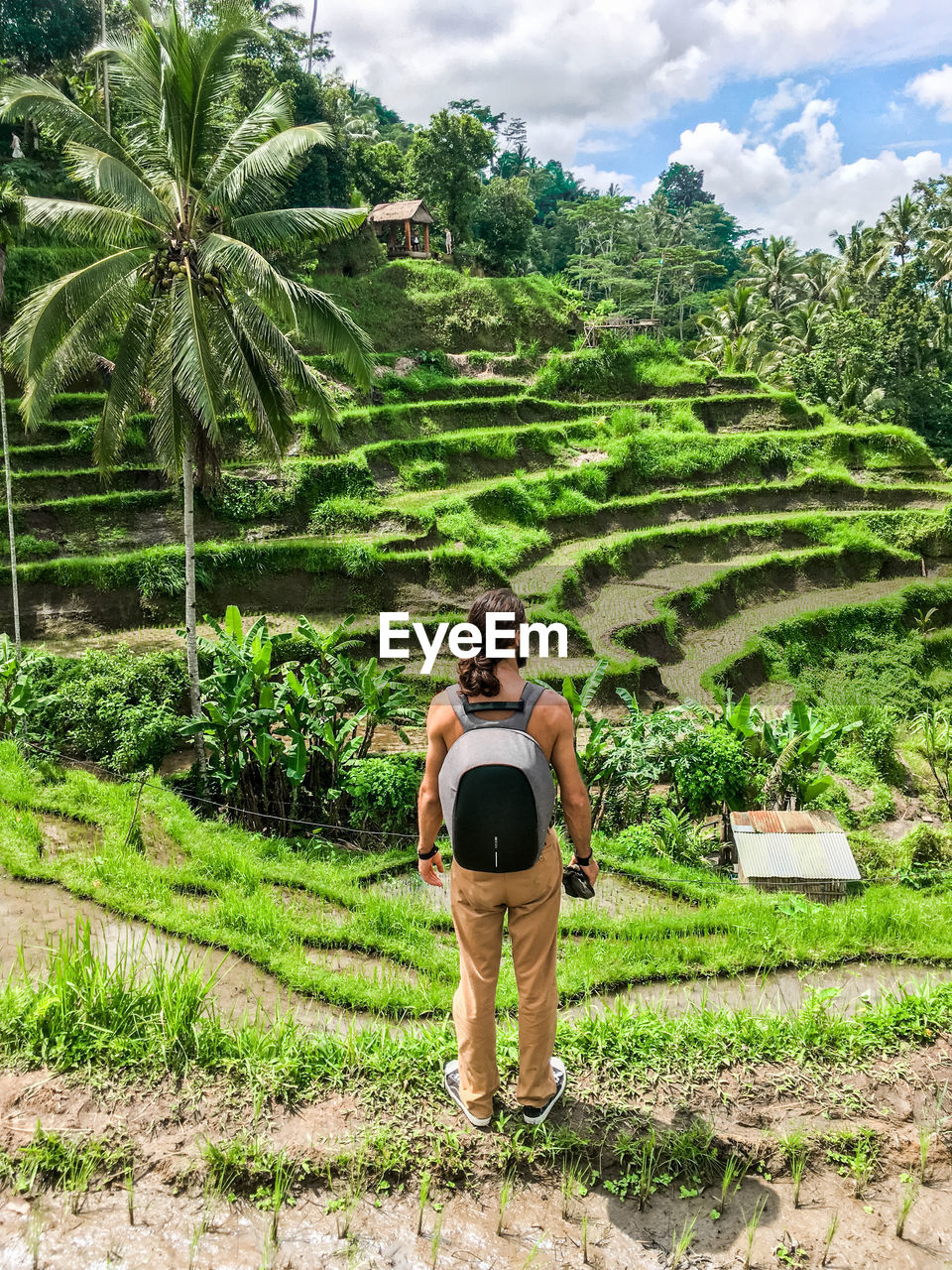 REAR VIEW OF MAN AND PALM TREES ON LANDSCAPE