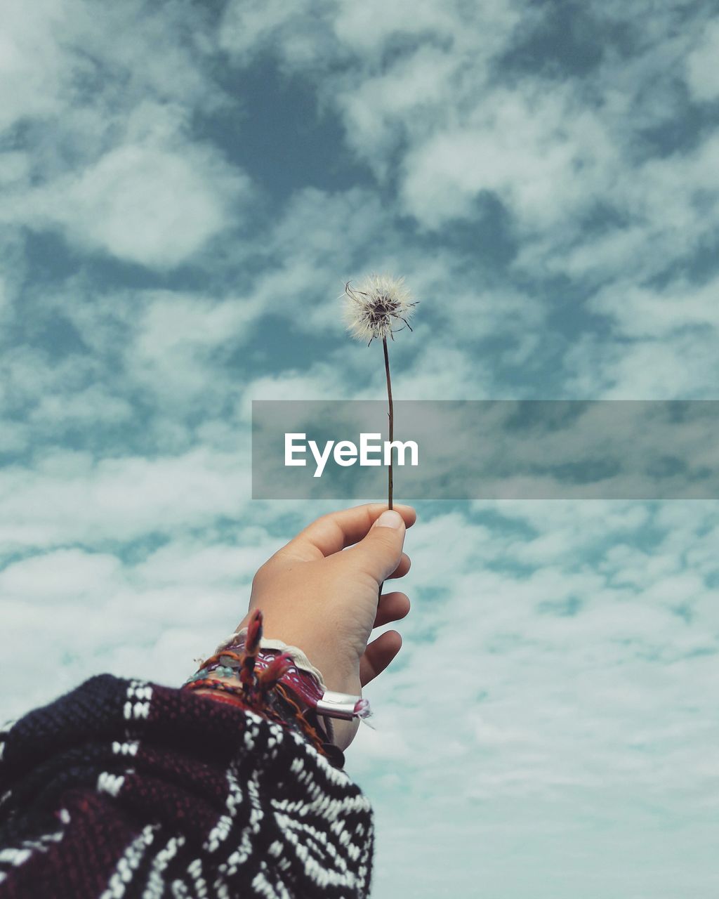 Cropped hand of person holding dandelion against sky