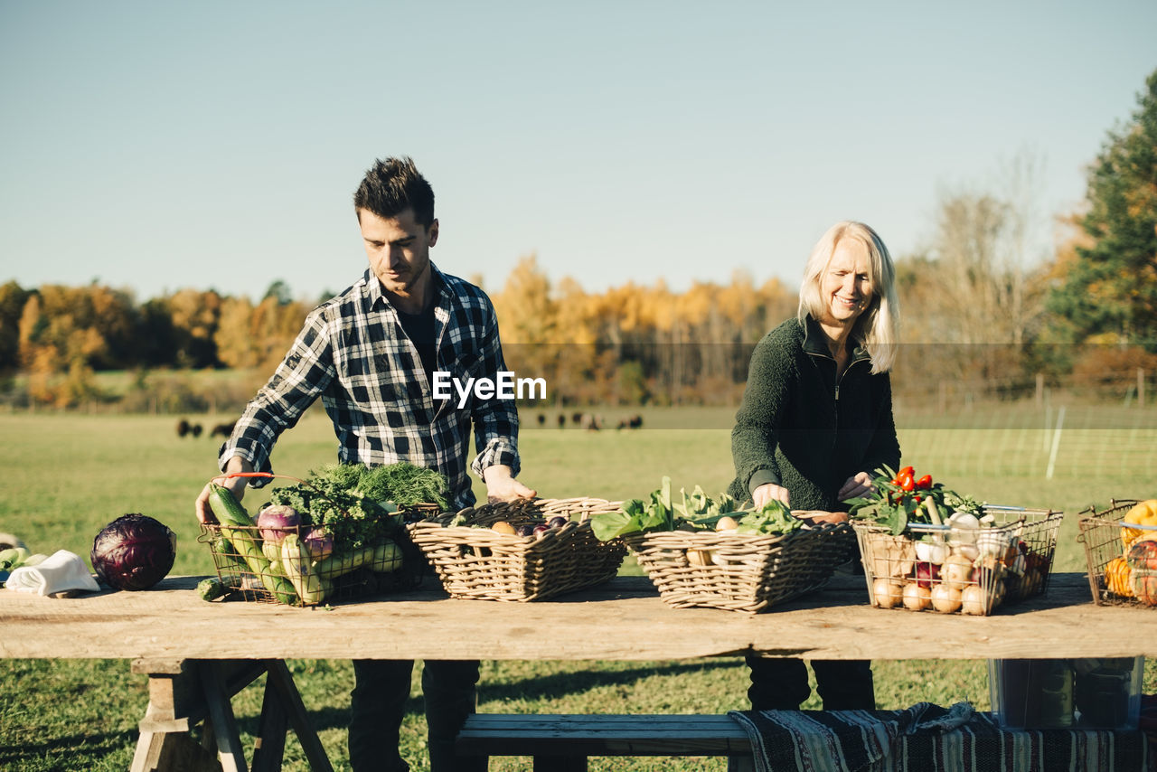 Male and female farmers arranging organic vegetables for sale on table