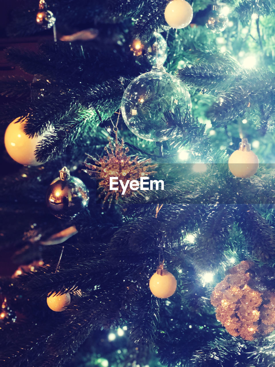 Close-up of illuminated christmas tree at night