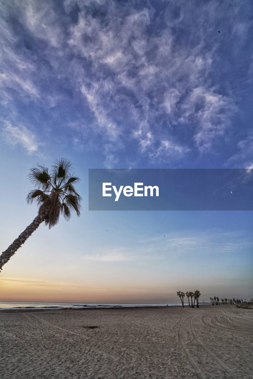 Scenic view of sea against sky during sunset and palm trees 