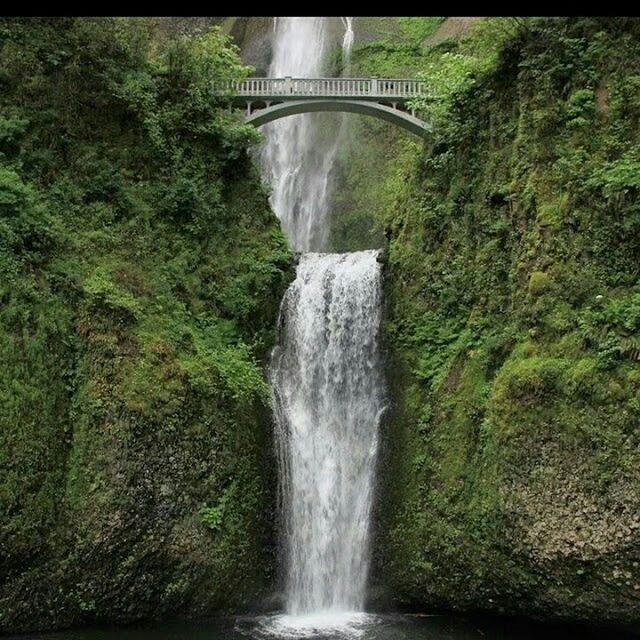 WATERFALL IN FOREST