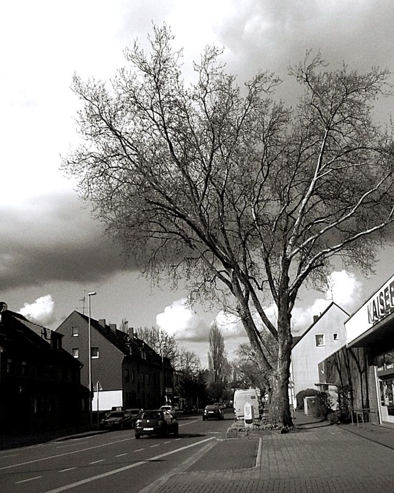 tree, architecture, building exterior, transportation, road, city, street, black and white, built structure, sky, plant, monochrome, mode of transportation, motor vehicle, car, nature, bare tree, monochrome photography, cloud, residential area, building, sign, no people, house, land vehicle, infrastructure, lane, outdoors, city street, the way forward, city life, neighbourhood, symbol, suburb, residential district, day, road marking