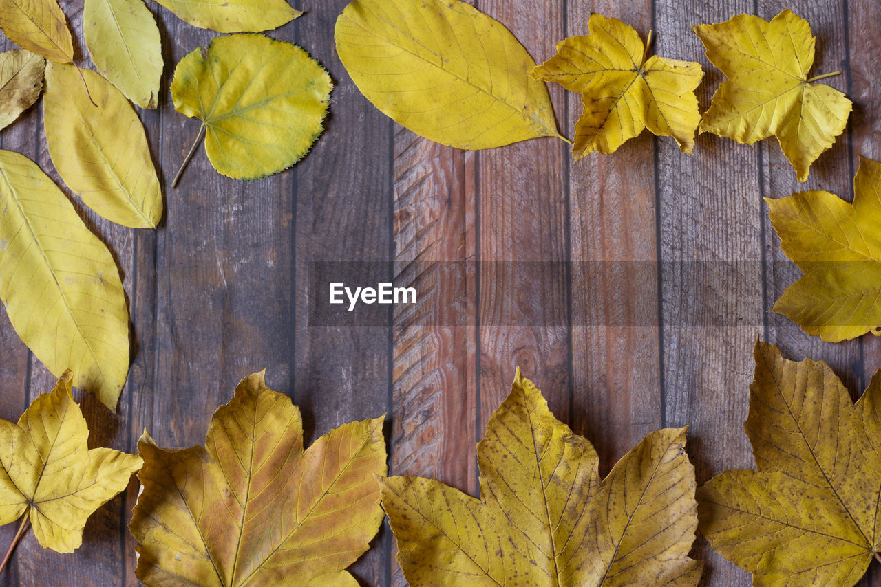 DIRECTLY ABOVE SHOT OF YELLOW LEAVES ON WOODEN SURFACE