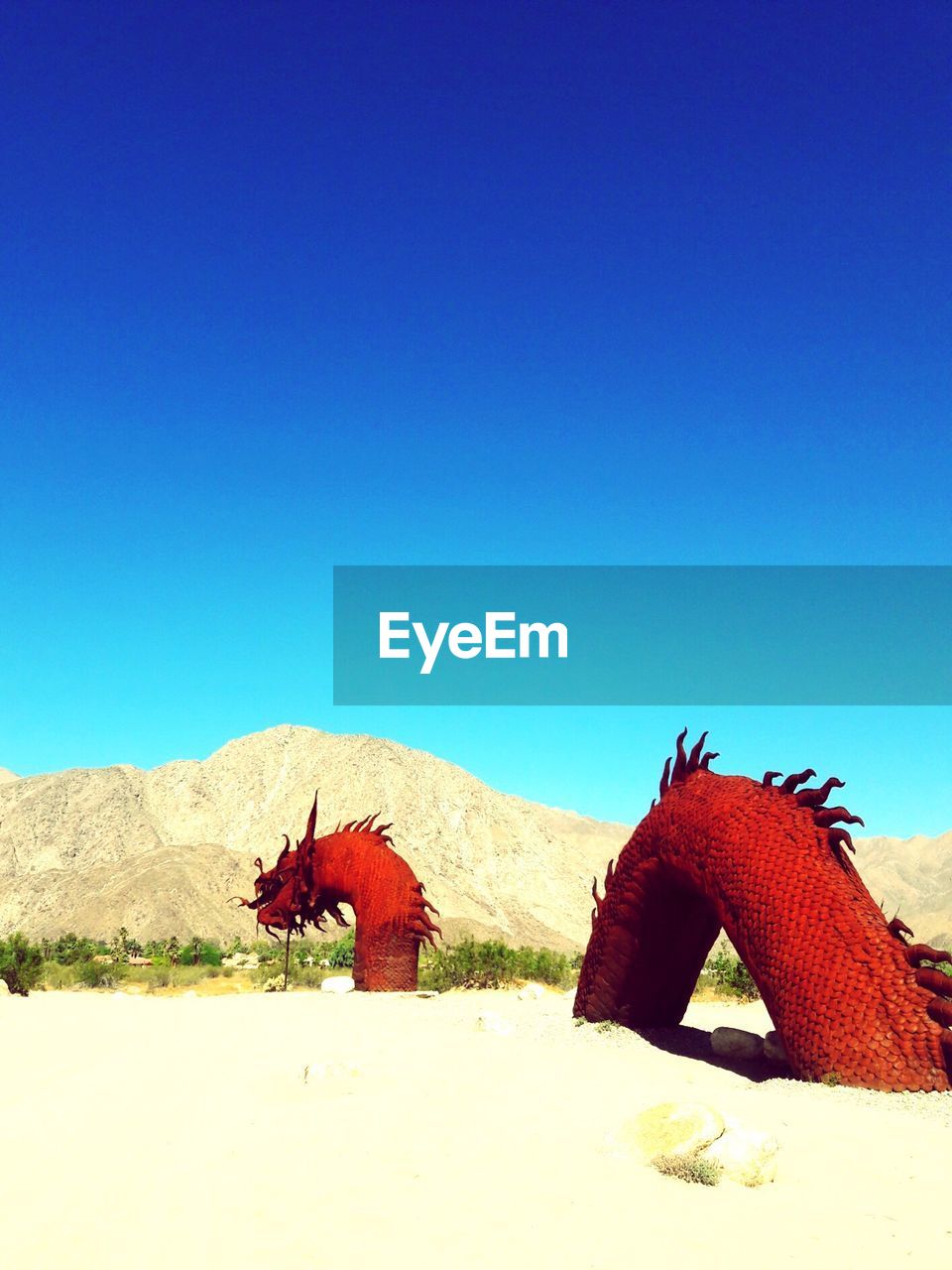 HORSE ON DESERT AGAINST BLUE SKY