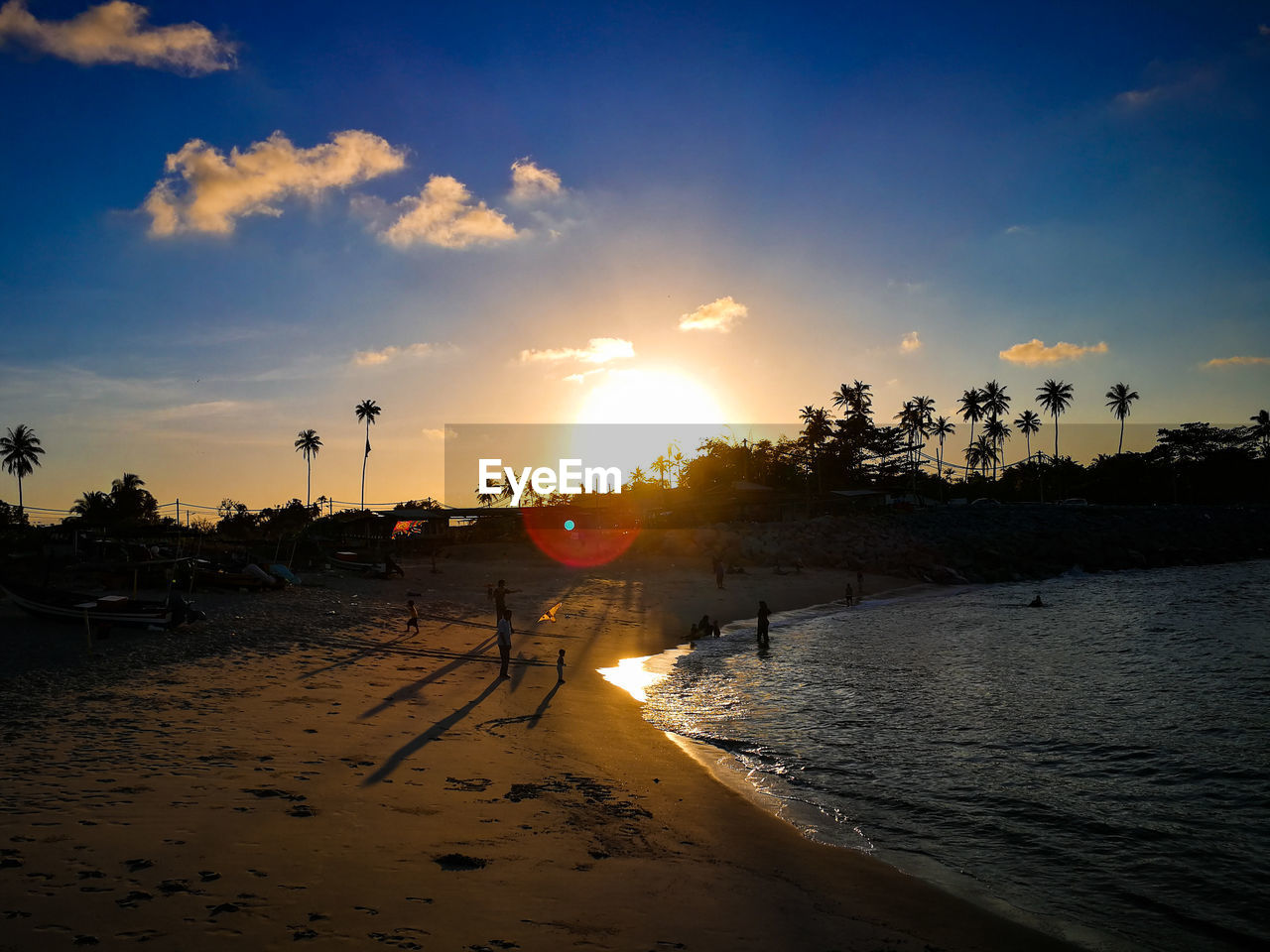 SILHOUETTE TREES ON BEACH AGAINST ORANGE SKY