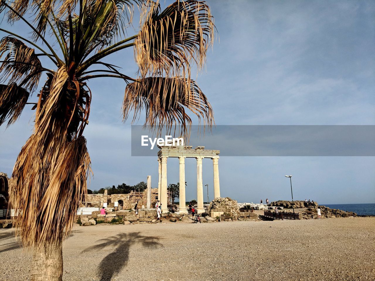 PALM TREES AT BEACH