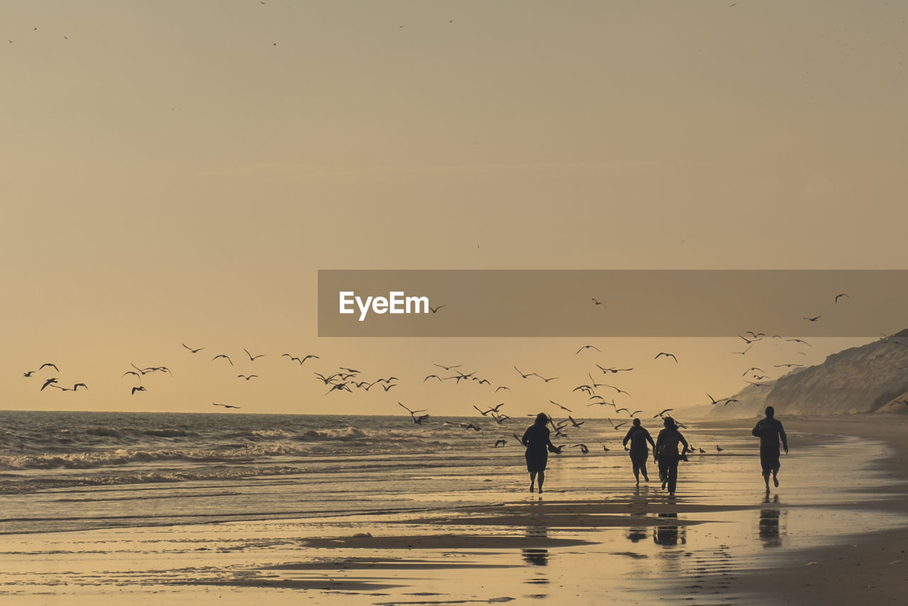 People walking on beach against clear sky during sunset