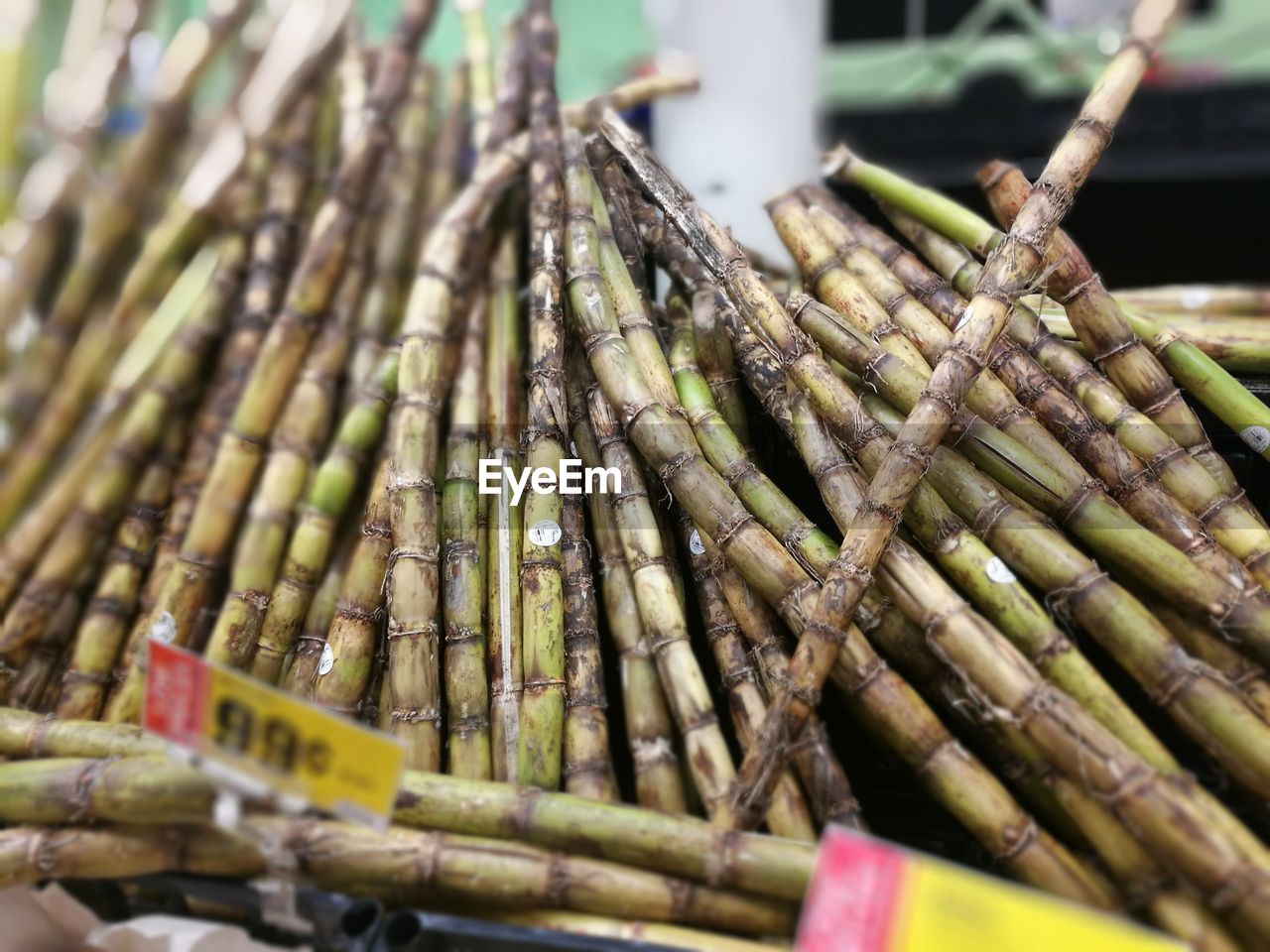 CLOSE-UP OF BAMBOO ON STONE STRUCTURE