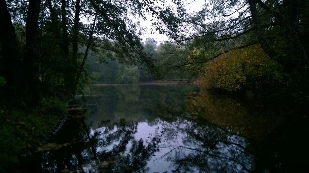 SCENIC VIEW OF LAKE