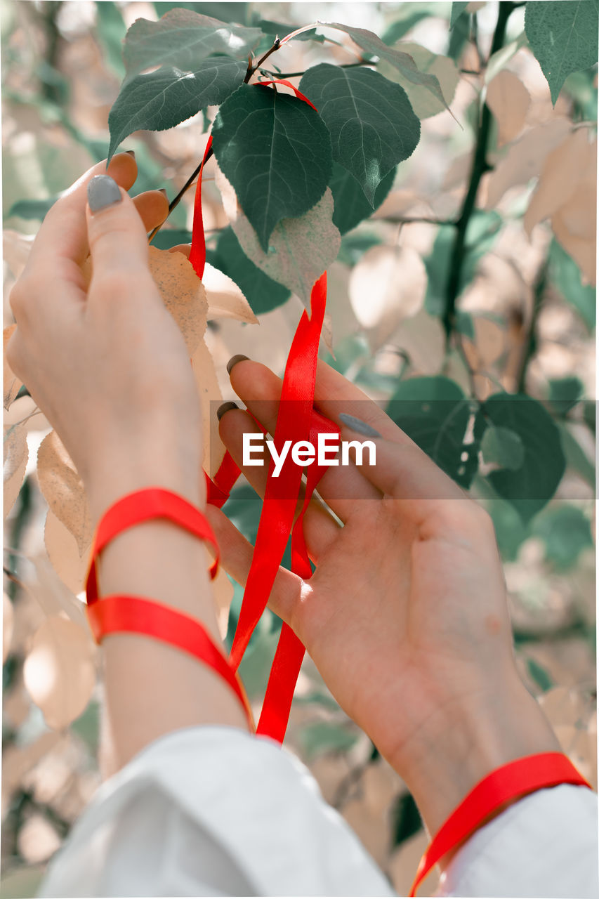 CLOSE-UP OF HUMAN HAND HOLDING PLANT