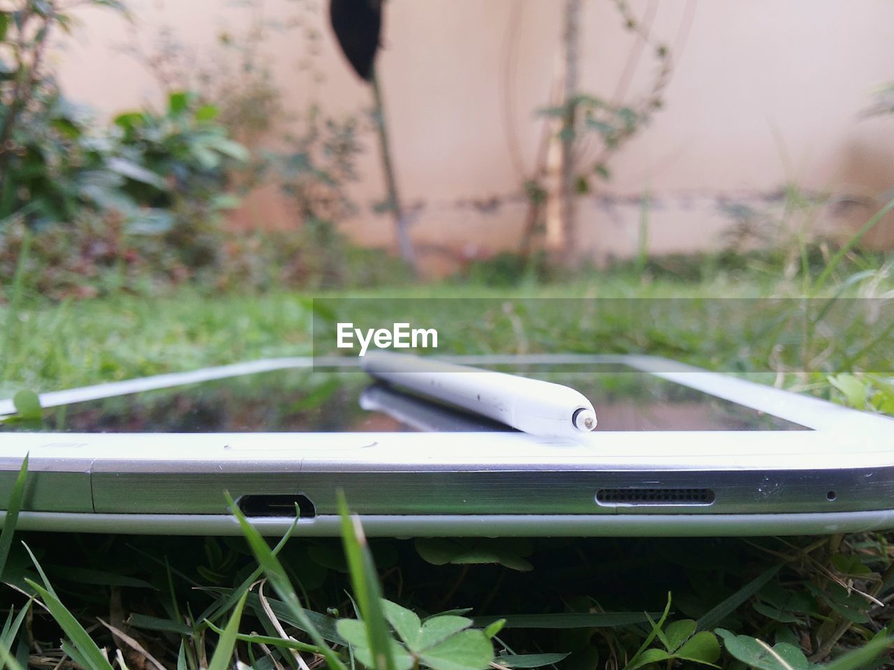 Close-up of tablet on grass