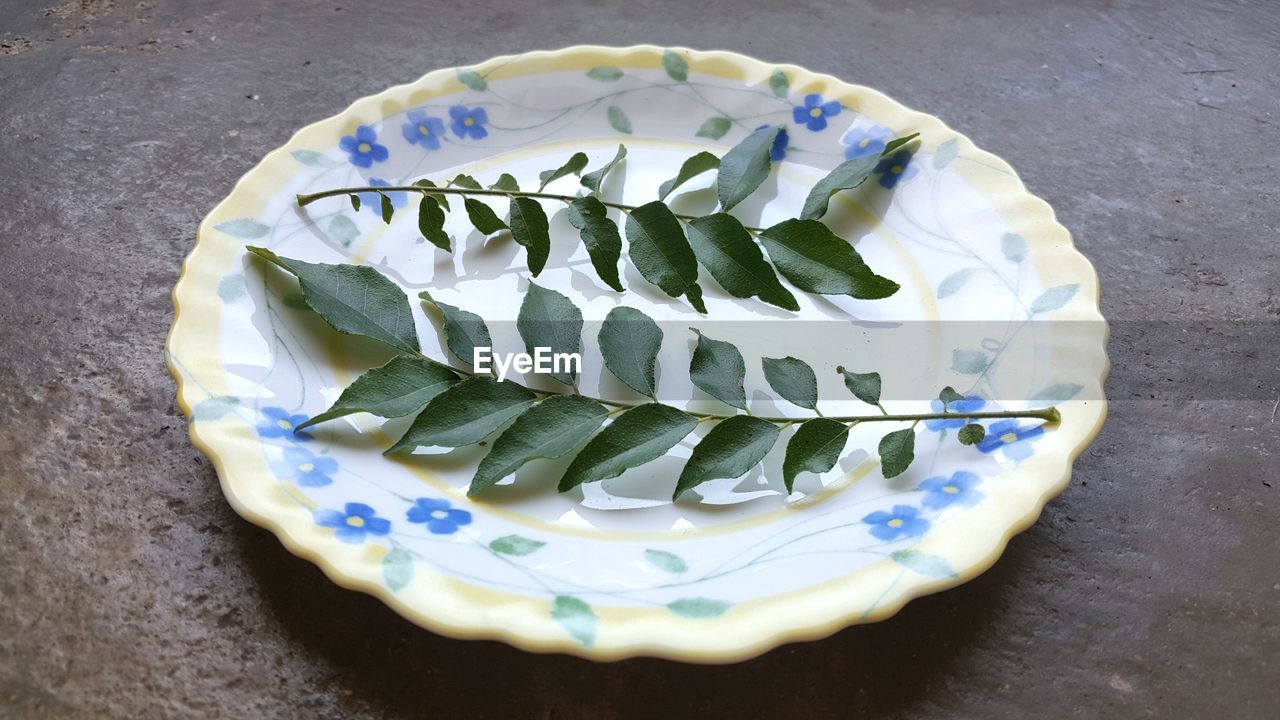 High angle view of twigs in plate on table