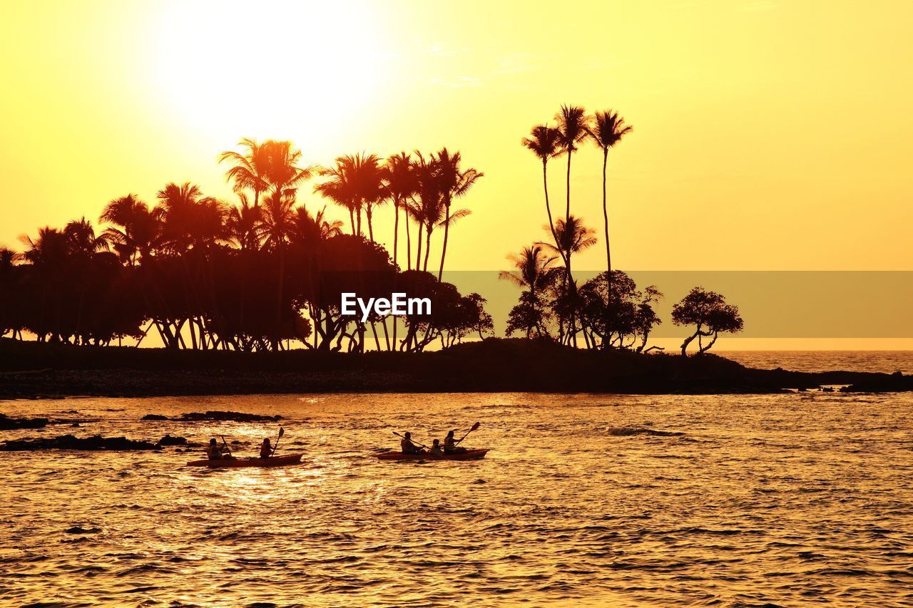 Silhouette people sailing boats in sea against palm trees during sunset