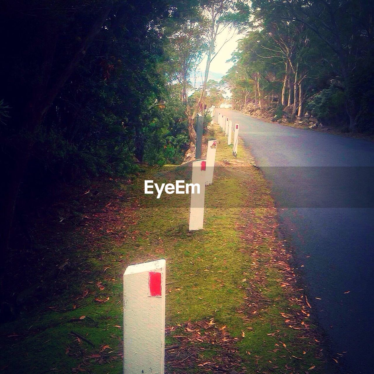 Bollards on field by road