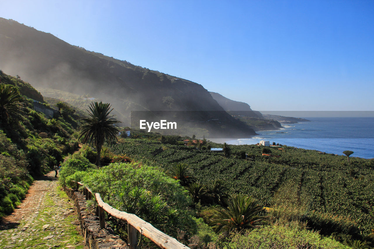 Scenic view of agricultural field against mountains