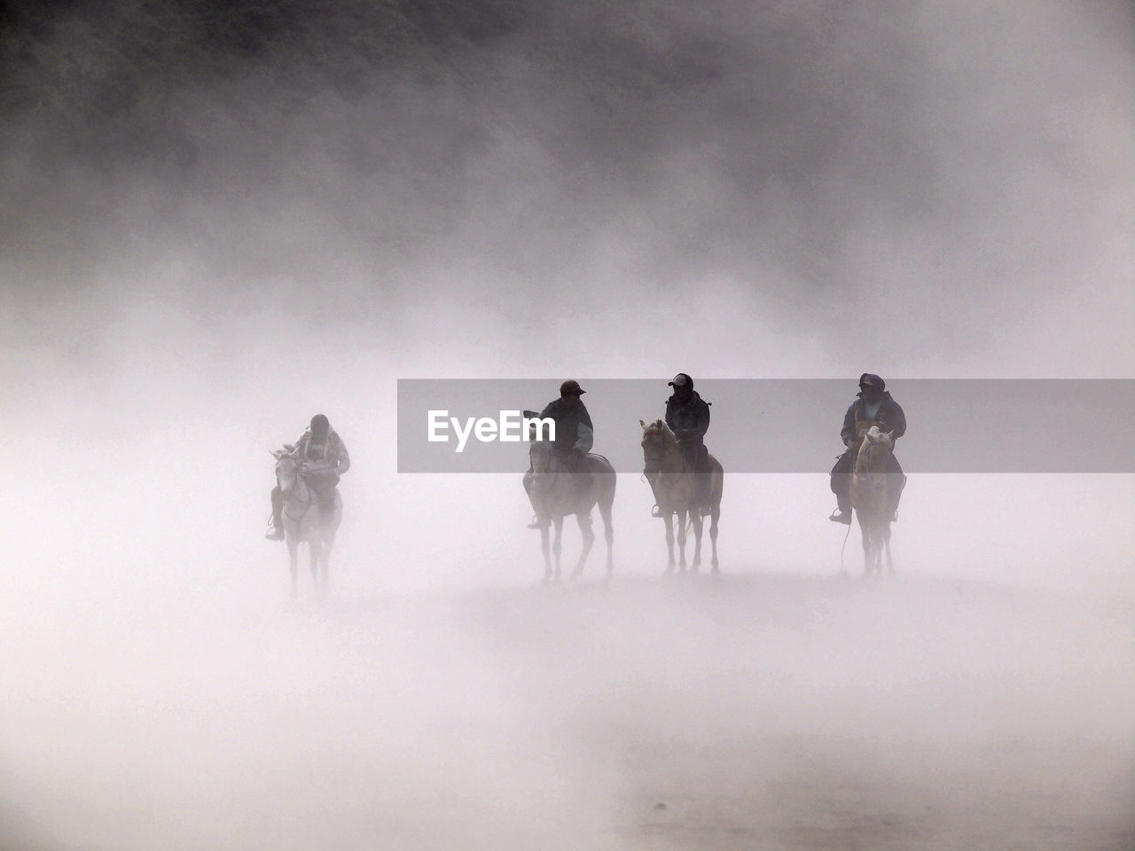 People riding horses on field during foggy weather