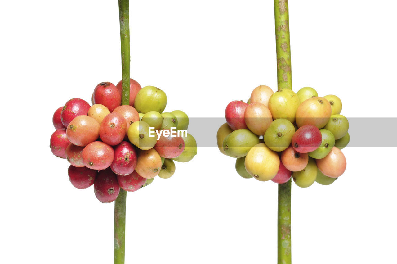 CLOSE-UP OF CHERRIES ON WHITE BACKGROUND