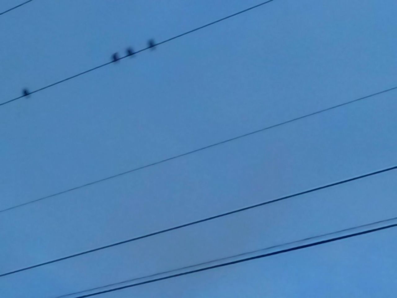 LOW ANGLE VIEW OF POWER CABLES AGAINST BLUE SKY