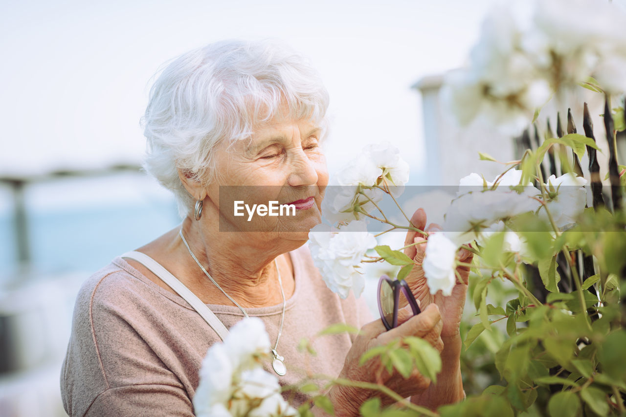 Elderly woman admiring beautiful bushes with colorful roses.