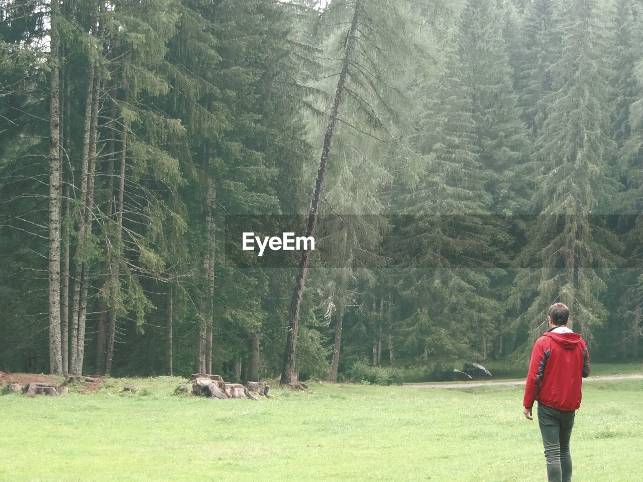 Rear view of man standing on grassy field against trees