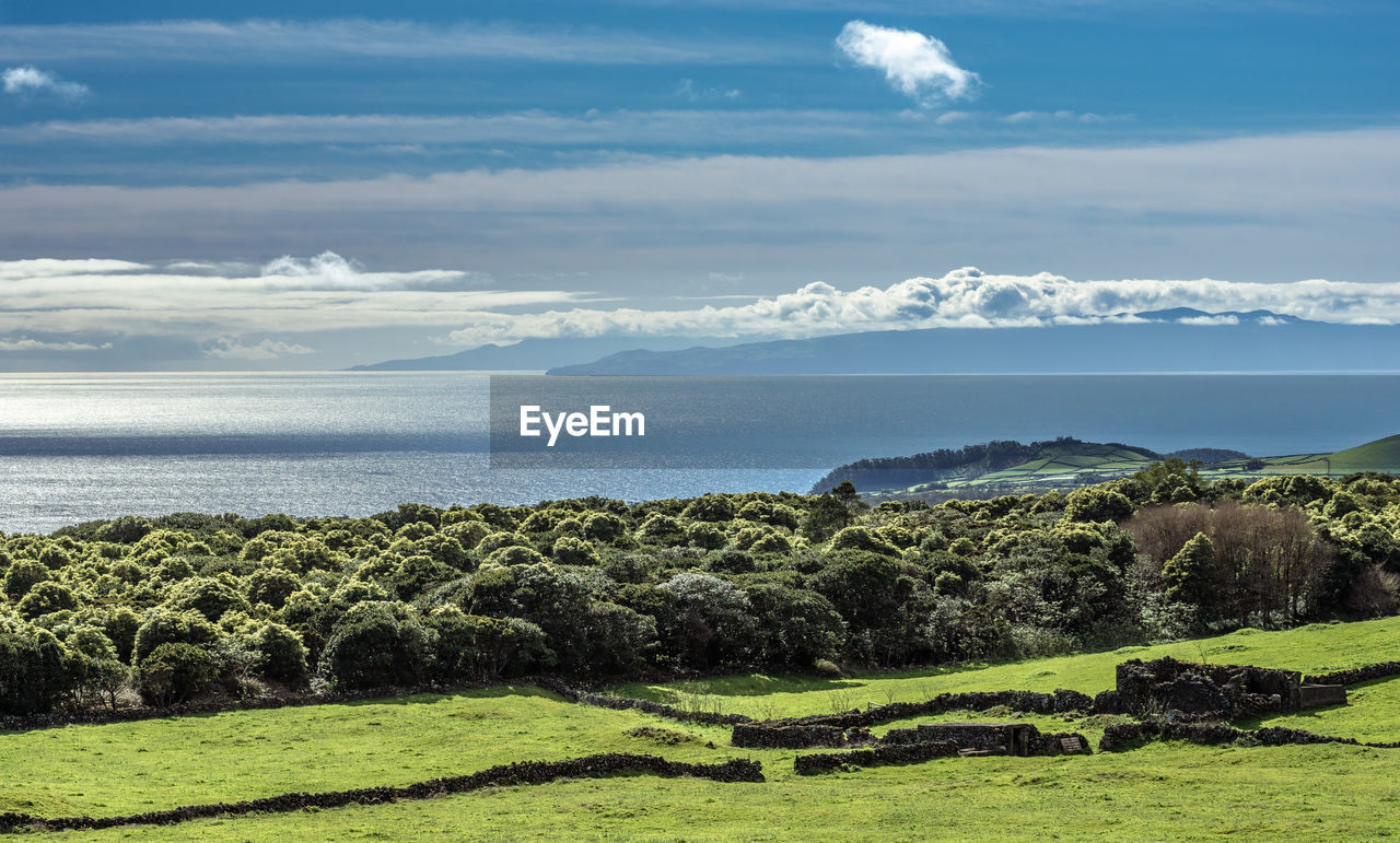 IDYLLIC SHOT OF LANDSCAPE AGAINST SKY