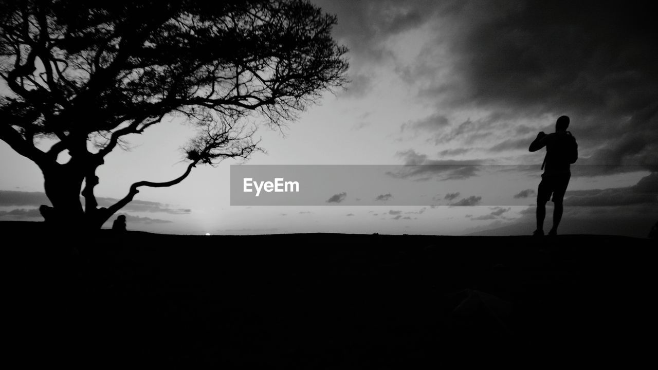 SILHOUETTE OF TREES ON LANDSCAPE