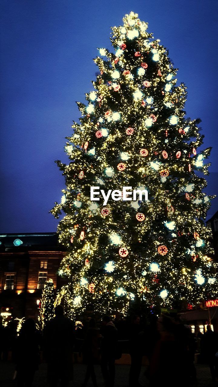 LOW ANGLE VIEW OF ILLUMINATED TREE AGAINST SKY