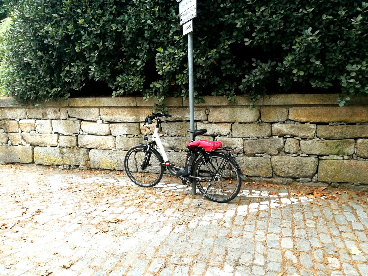 BICYCLE PARKED ON ROAD