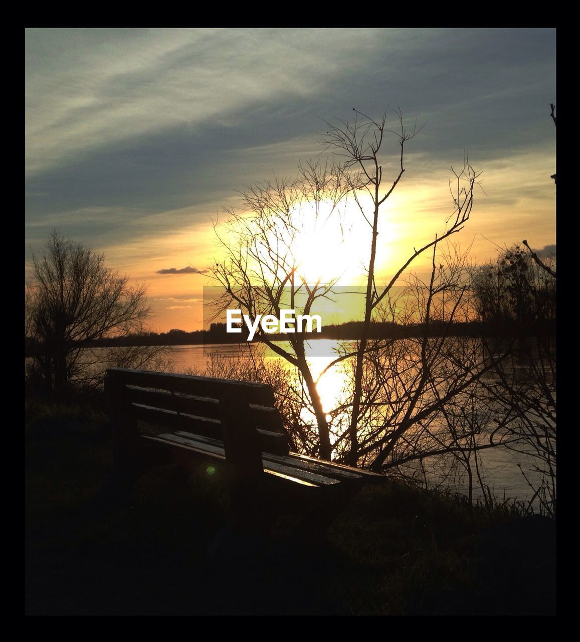 SILHOUETTE OF TREES AT SUNSET