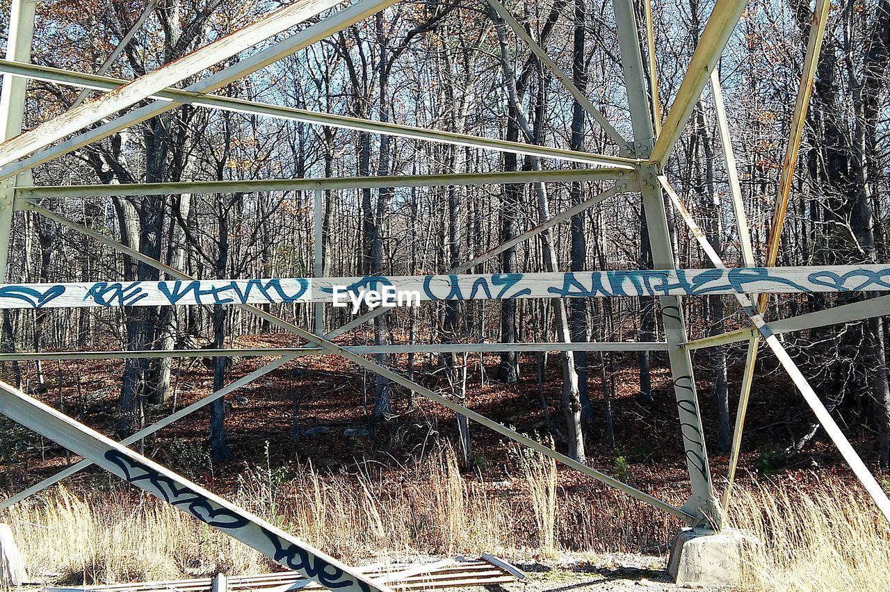 Graffiti on electricity pylon in forest