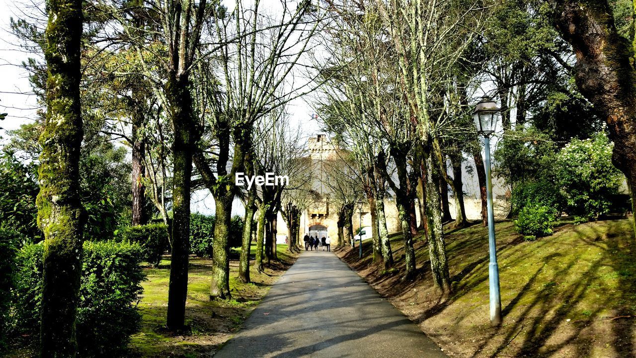 WALKWAY ALONG TREES