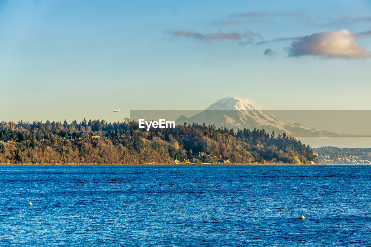 A view of a point with trees and mount rainier in burien, washington.