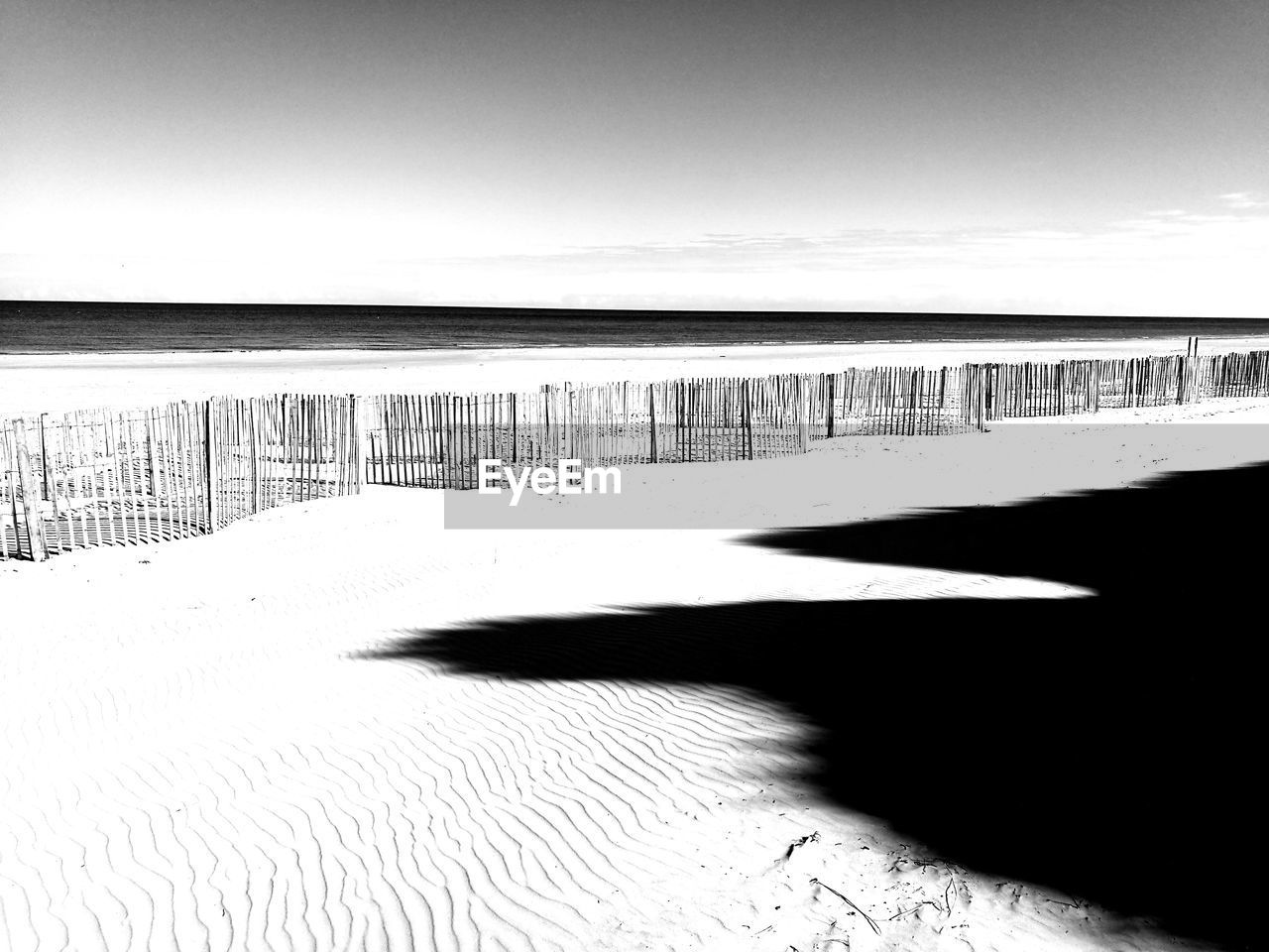 Scenic view of sandy beach during sunny day