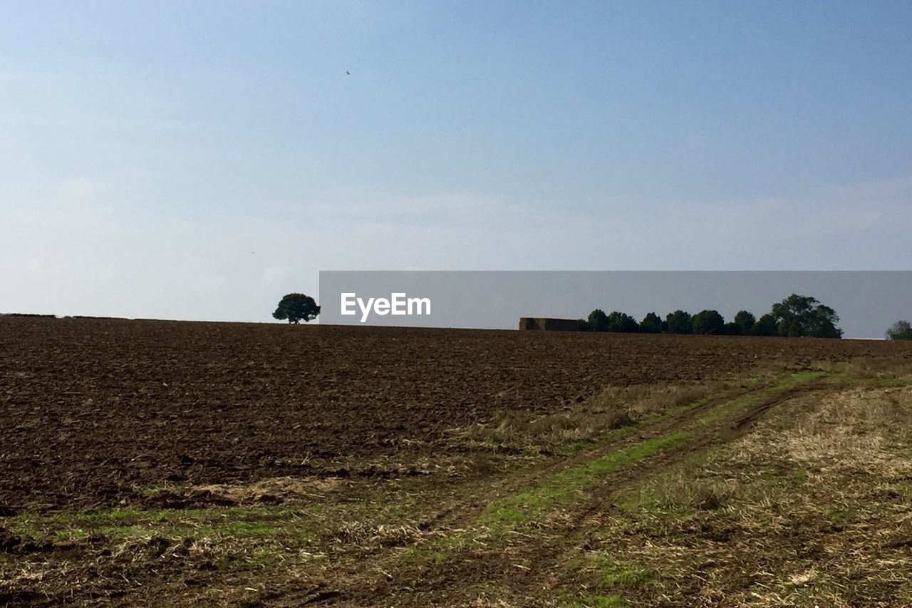 VIEW OF RURAL LANDSCAPE