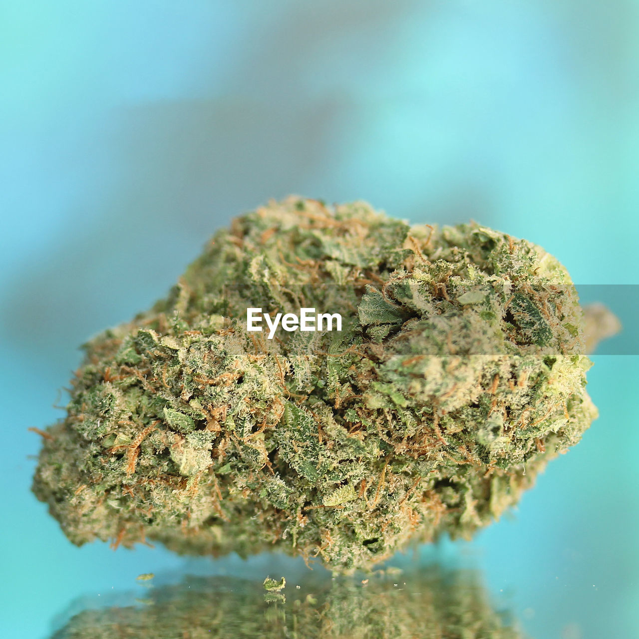 Medical marijuana flower. pictures for dispensary menu. cannabis buds 